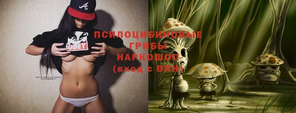 крисы Карпинск