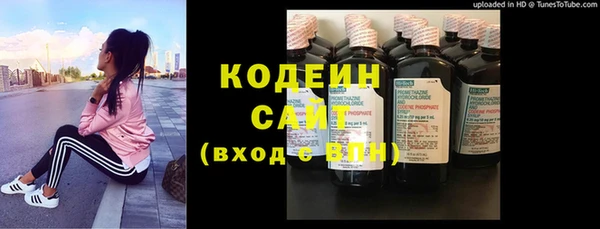 крисы Карпинск