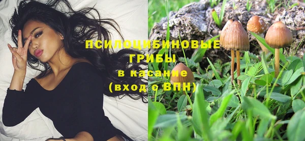 крисы Карпинск