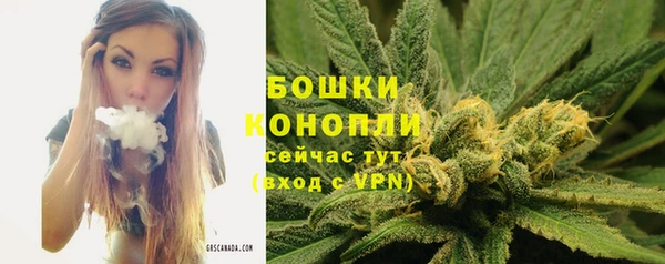 крисы Карпинск